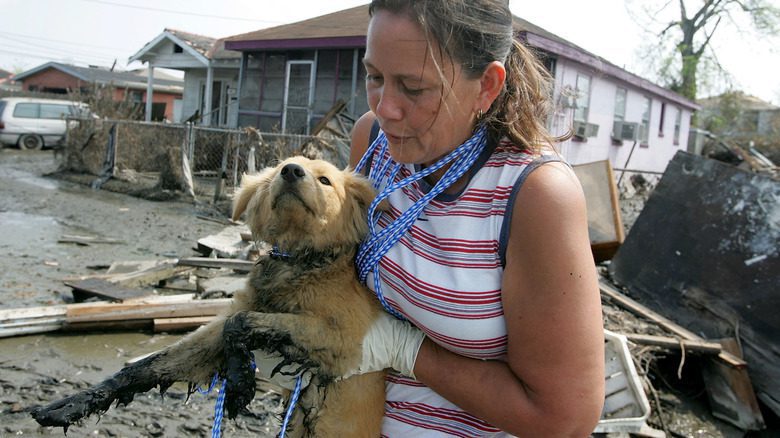 volunteer carries puppy out of floodwaters