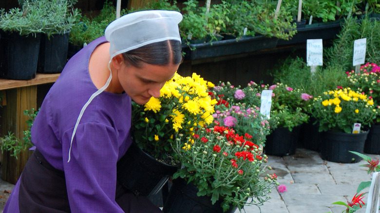 femme amish tenant des pots de fleurs