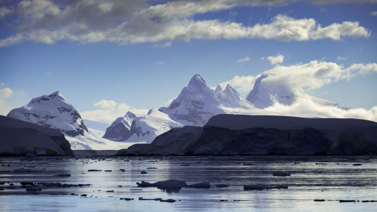 Changement climatique rend l'Antarctique vert et inquiète