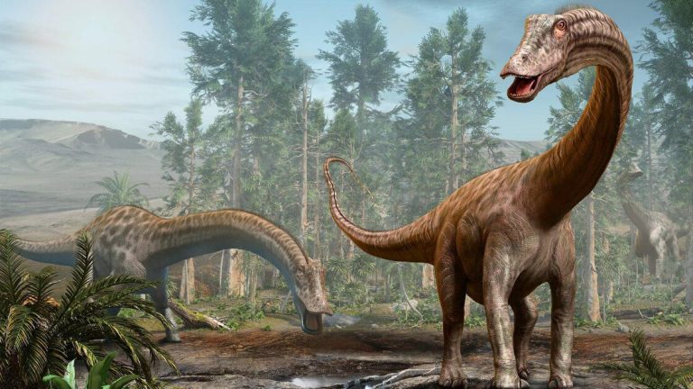 Découverte en Inde révèle soins des dinos pour leurs petits