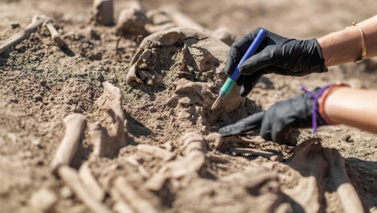 Decouverte incroyable d'un squelette humain de 2000 ans en chantier