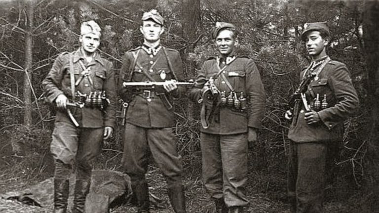 Les Soldats Maudits de Pologne Lutte et Persévérance Historique