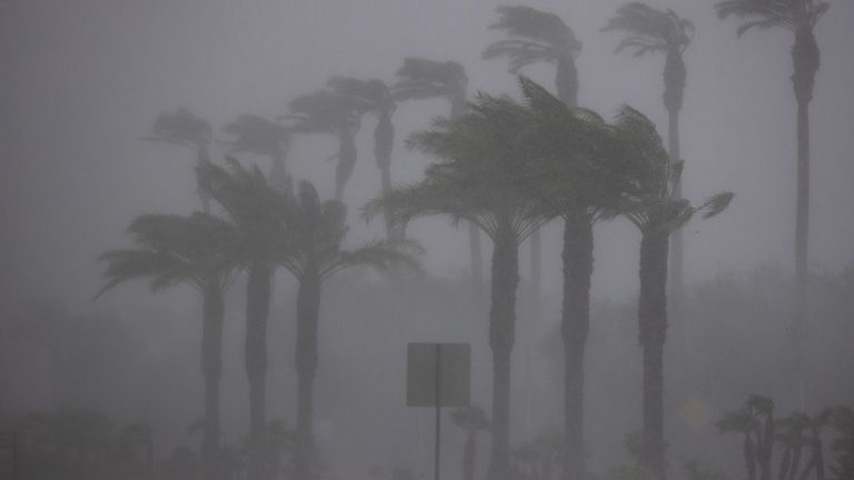 Pourquoi les ouragans sont rares en Californie : Explications