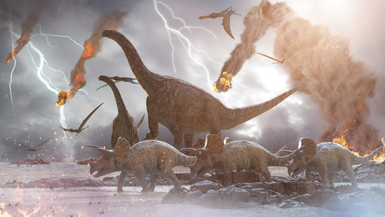 Théories Dinosaures Extinction Rapide plus que Prévu