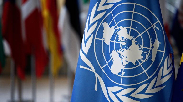 La vérité cachée sur les Nations Unies et leur impact global