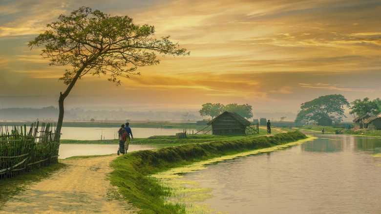 Village Bangladesh au coucher du soleil