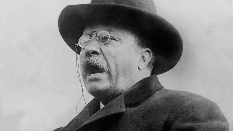Theodore Roosevelt parle