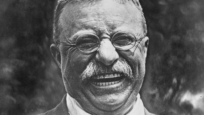 Theodore Roosevelt glasses moustache laughing