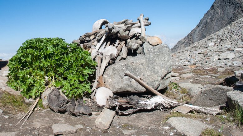 Pile d'os au lac Roopkund