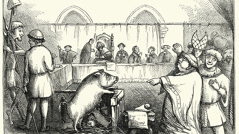 Procès d'une truie au tribunal médiéval