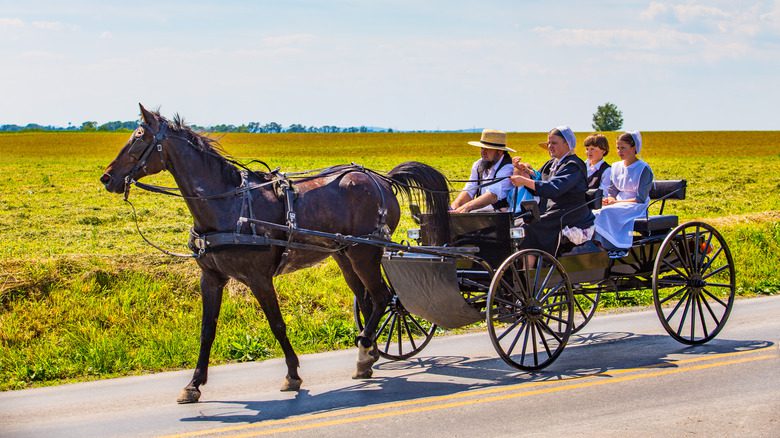 Famille Amish en calèche tirée par un cheval