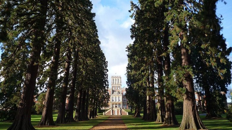 Royal Earlwood Park building and sequoias