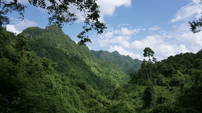 Collines de la jungle du Vietnam