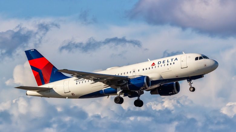 delta airplane flying