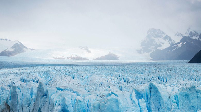 Glaciers en Patagonie