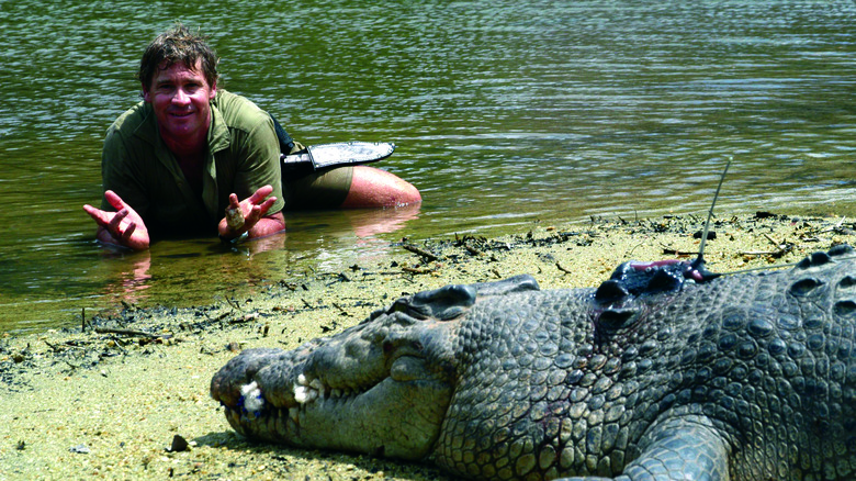 Steve Irwin avec un crocodile