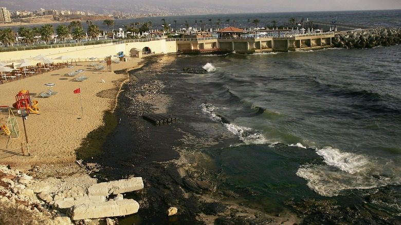 Déversement de pétrole sur une plage libanaise