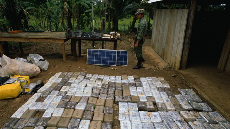 paquets de cocaïne et soldat colombien