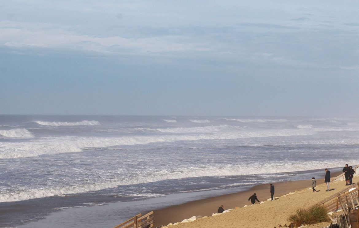 Disparition tragique de Medhi Narjissi, jeune rugbyman toulousain en Afrique du Sud