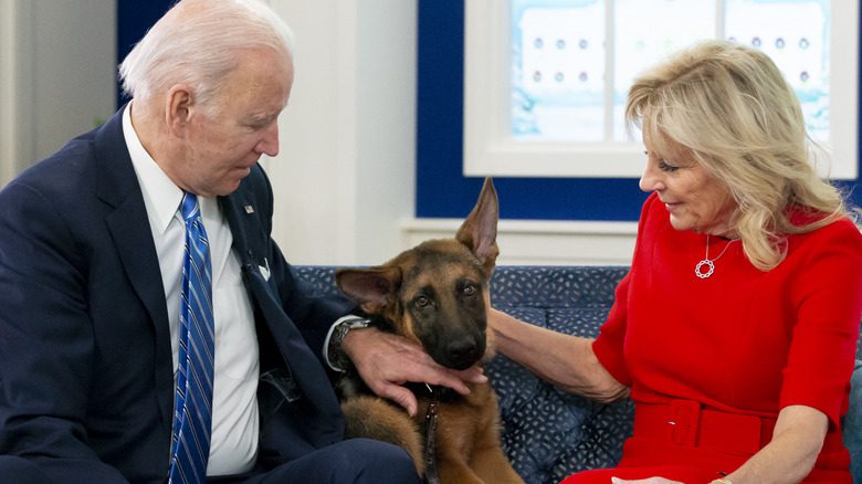 Les Bidens avec le chiot Commander