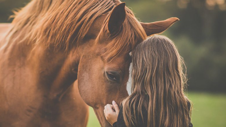 Enfant avec un cheval