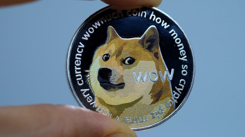 illustration of dogecoin with kabosu