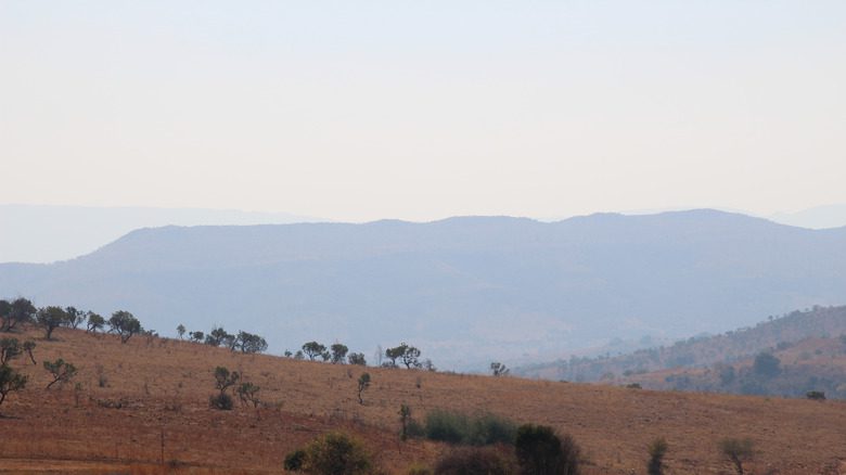 Paysage du berceau de l'humanité