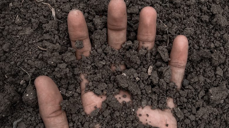 Hand in dirt