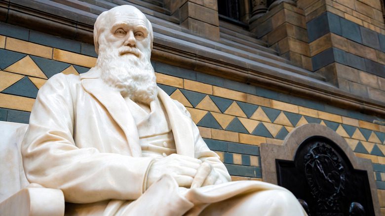 Statue de Charles Robert Darwin, un naturaliste et biologiste anglais au Musée d'Histoire Naturelle. Londres, Royaume-Uni