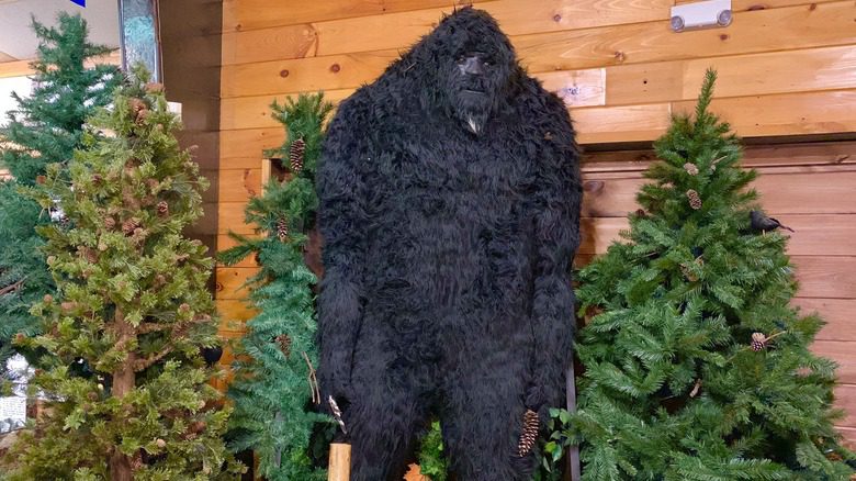 Musée du Sasquatch en Géorgie