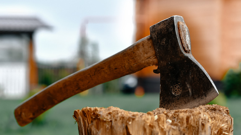 An ax in a tree stump