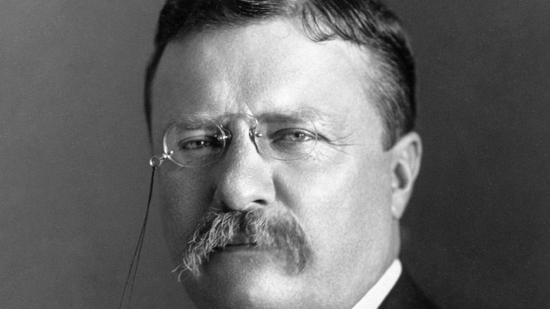 Theodore Roosevelt sérieux