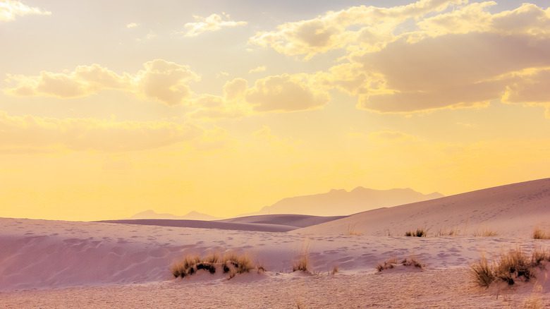 Empreintes anciennes au parc national des White Sands