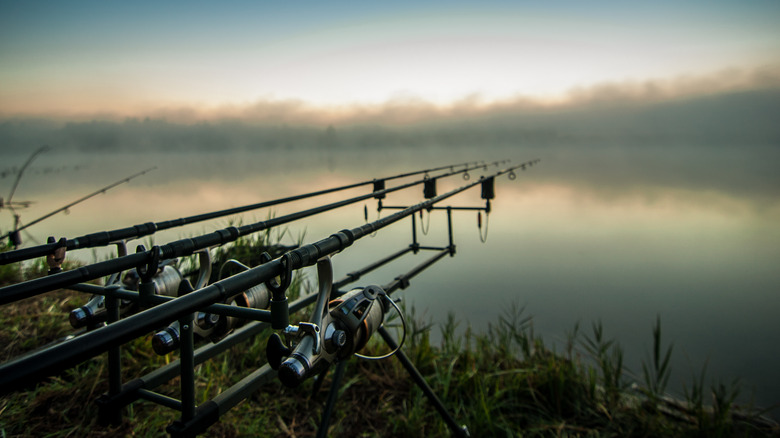 fishing