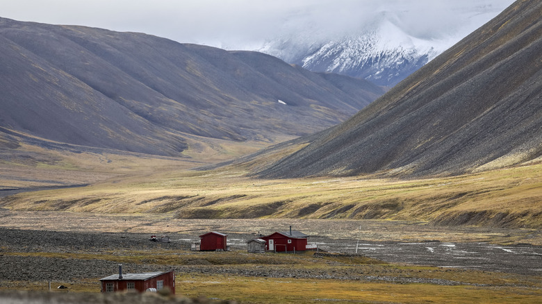 Paysage de Svalbard