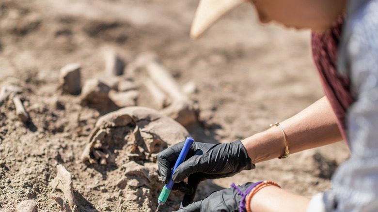 Restes humains découverts par des archéologues