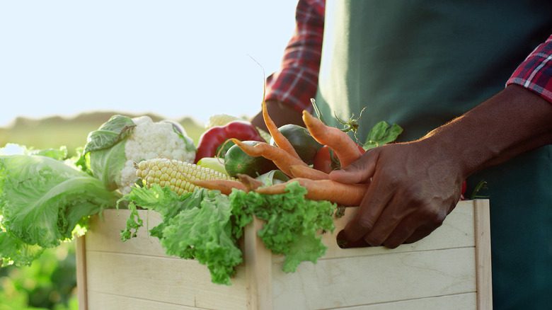 Personne noire tenant des légumes