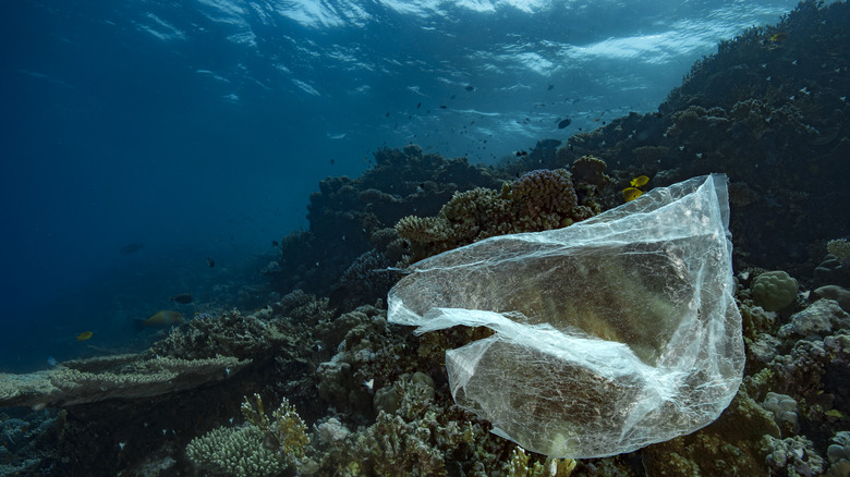 sac en plastique au fond de l’océan