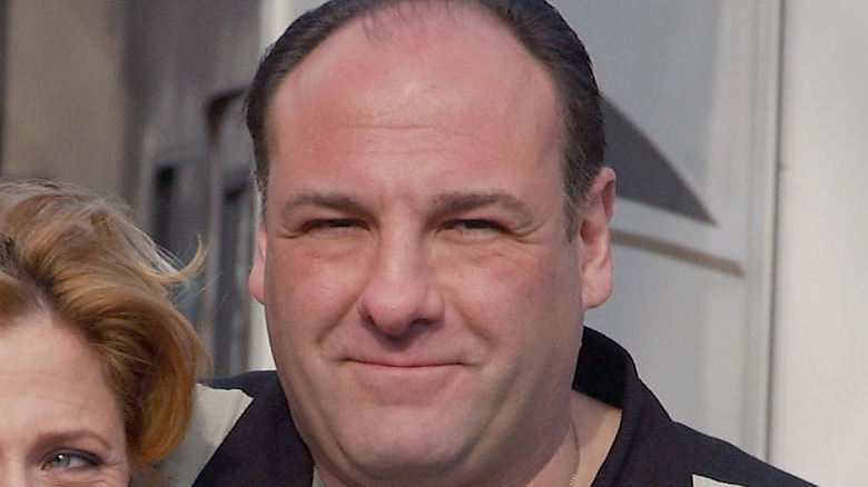 James Gandolfini as Tony Soprano