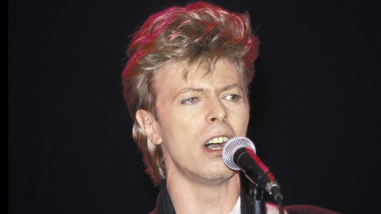 David Bowie performs