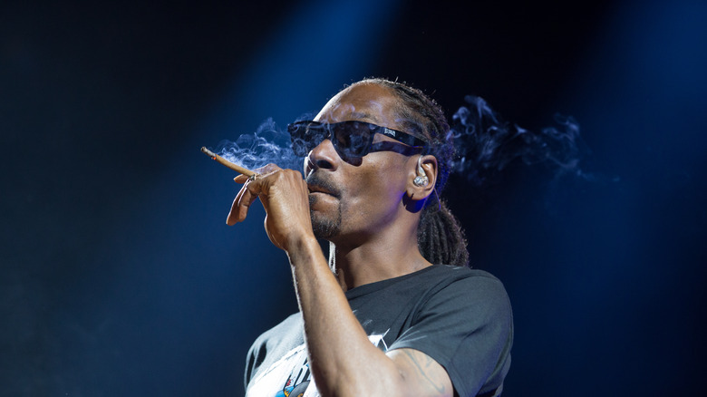 snoop dogg smoking