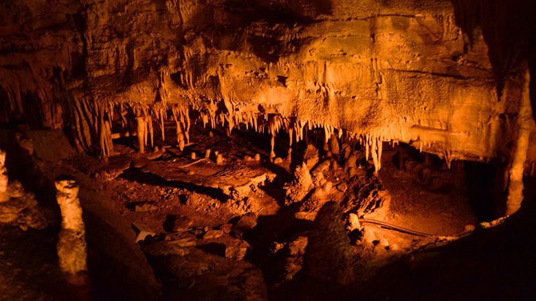 Caverne Mammouth, Kentucky