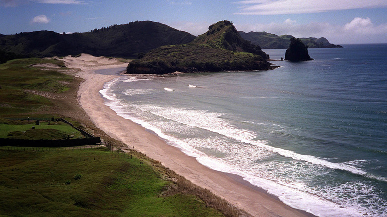 Awana Beach en Nouvelle-Zélande