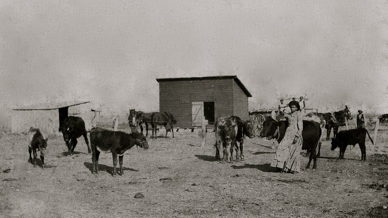 Agriculteurs noirs en Oklahoma