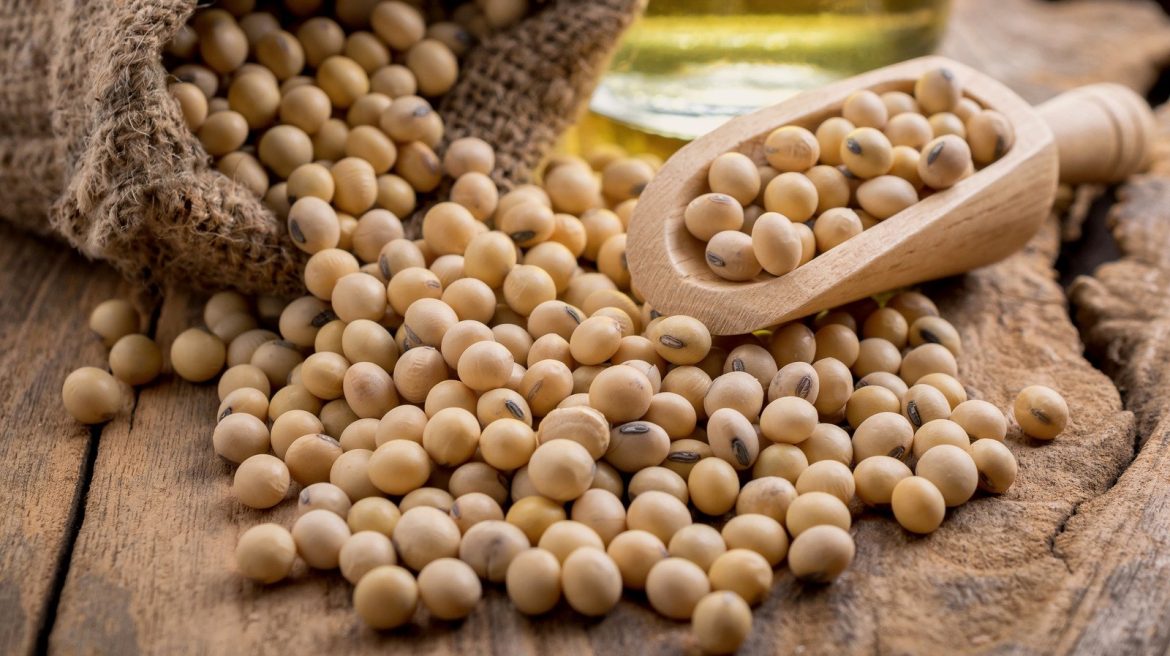 L'origine surprenante de l'expression 'spill the beans'