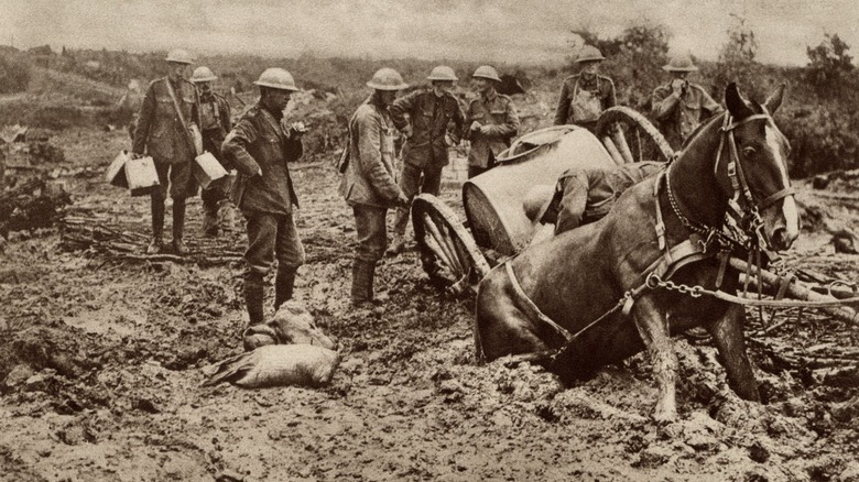 Des troupes britanniques essaient de sortir un cheval de la boue à Ypres