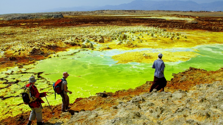 Visiteurs dans le désert Danakil