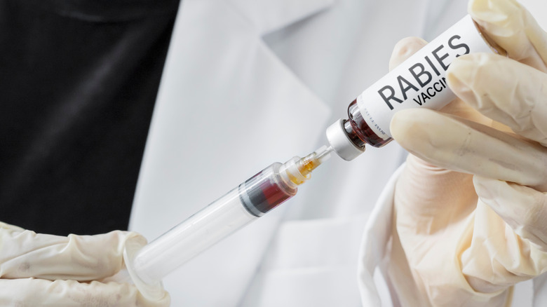 Docteur tenant un vaccin contre la rage