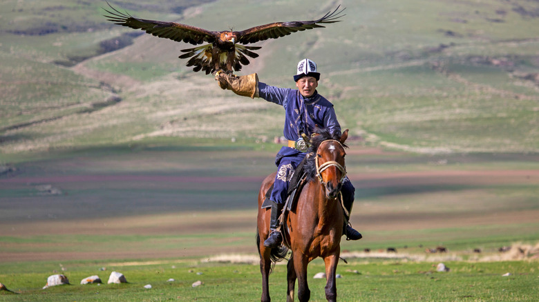 Chasseur d'aigles et aigle doré à cheval