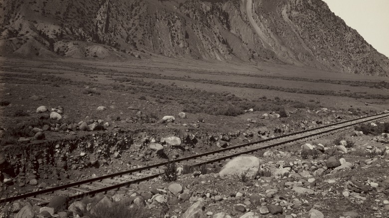 Un passage à niveau à travers un paysage désolé